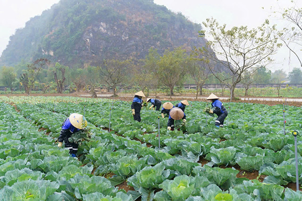 Ăn Uống Gì Ở Bái Đính? Top Những Món Đặc Sản Không Thể Bỏ Qua Khi Du Lịch Ninh Bình